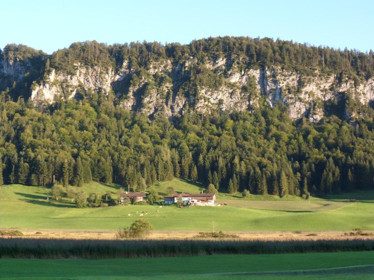 Pfandlhof Hotel Walchsee Exterior photo